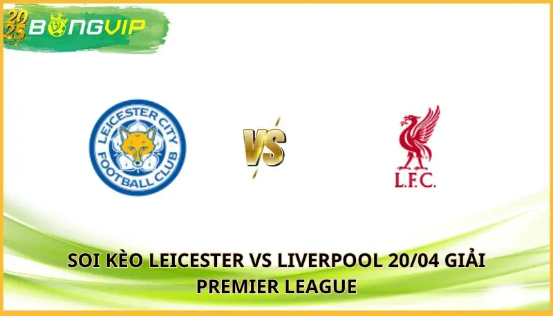 soi kèo Leicester vs Liverpool