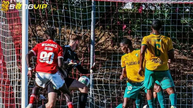 Soi kèo Mafra vs Penafiel 15/04 giải đấu Hạng 2 Bồ Đào Nha Dự đoán đội hình thi đấu ở soi kèo Mafra vs Penafiel