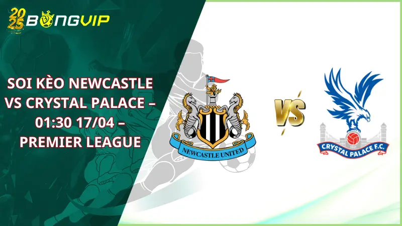 soi kèo Newcastle vs Crystal Palace