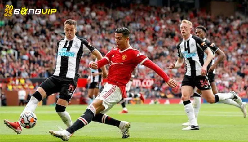 Nhận định, soi kèo Newcastle vs MU 13/04 giải Premier League Nhận định kèo cược từ chuyên gia uy tín số 1