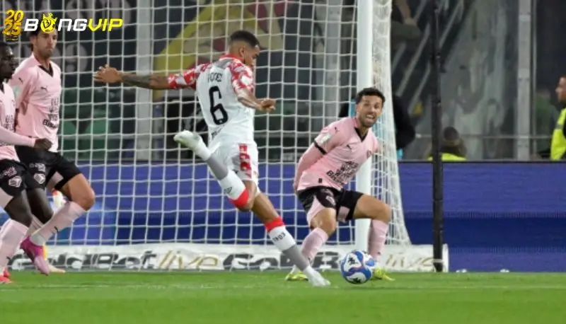 Nhận định, soi kèo Palermo vs Sudtirol 01/05 giải Serie B Phong độ Palermo tại soi kèo Palermo vs Sudtirol