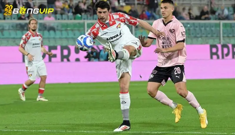 Nhận định, soi kèo Palermo vs Sudtirol 01/05 giải Serie B Nhận định kèo cược chuẩn xác từ chuyên gia số 1