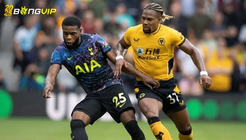 Soi kèo Wolves vs Tottenham 13/04 giải Premier League Nhận định kèo chuẩn xác từ chuyên gia uy tín số 1