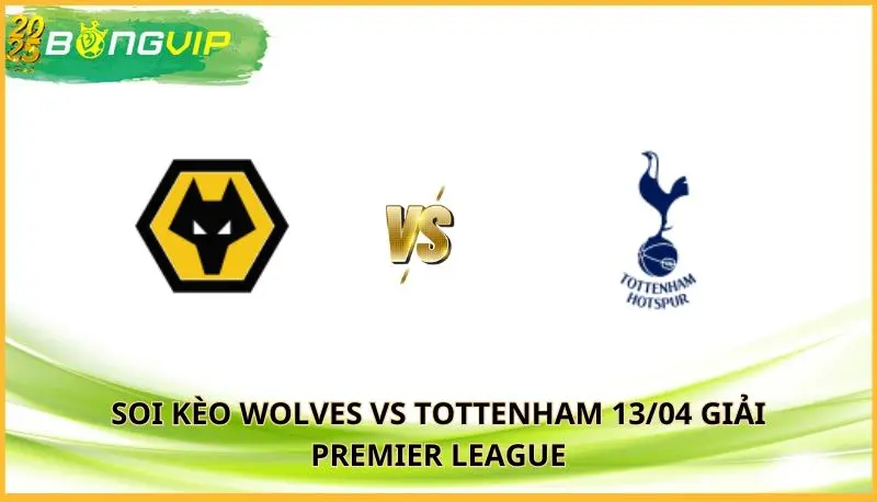 soi kèo Wolves vs Tottenham