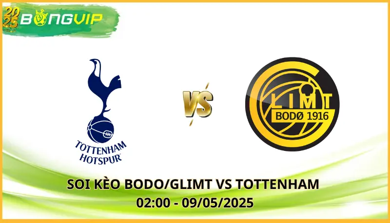soi kèo Bodo/Glimt vs Tottenham