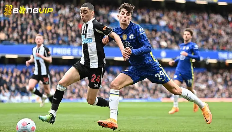 Soi kèo Newcastle vs Chelsea 11/05 giải đấu Premier League Nhận định kèo chuẩn xác từ chuyên gia số 1 hiện nay