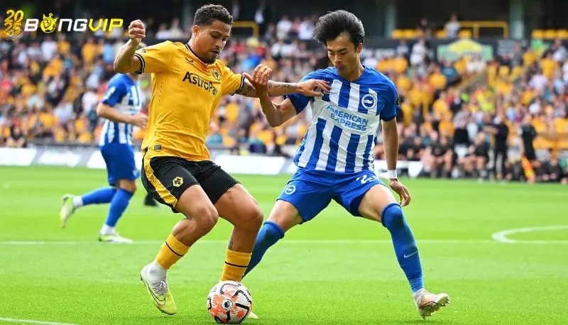 Soi kèo Wolves vs Brighton 10/05 giải đấu Premier League Nhận định kèo cược từ chuyên gia uy tín hàng đầu hiện nay