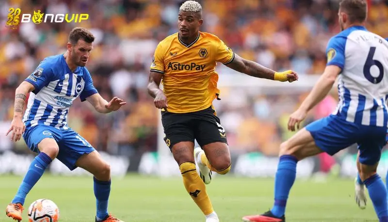 Soi kèo Wolves vs Brighton 10/05 giải đấu Premier League Phong độ Wolves tại soi kèo Wolves vs Brighton