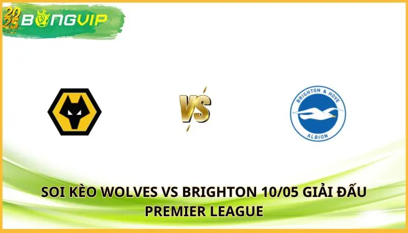 soi kèo Wolves vs Brighton